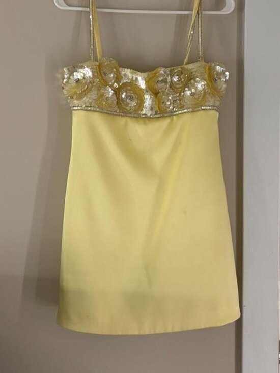 Retrofete Dresses & Skirts - Retrofête Lark Embroidered Dress